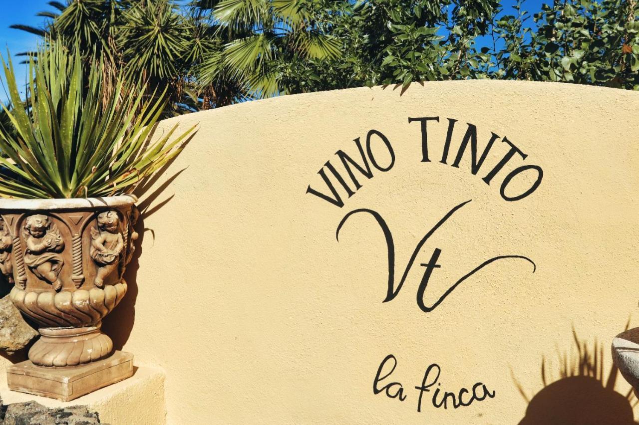 Finca Vino Tinto 2 Икод де лос Винос Екстериор снимка